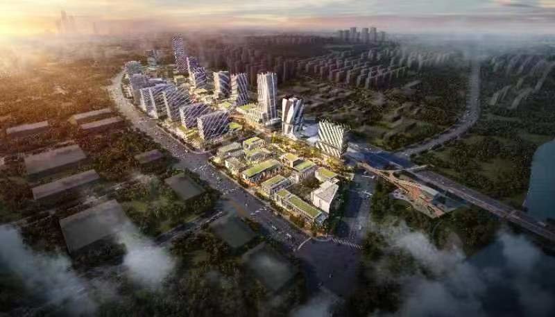 TIL制剂标准化再进一步：首个国家级指南发布，北京大兴打造细胞治疗创新高地