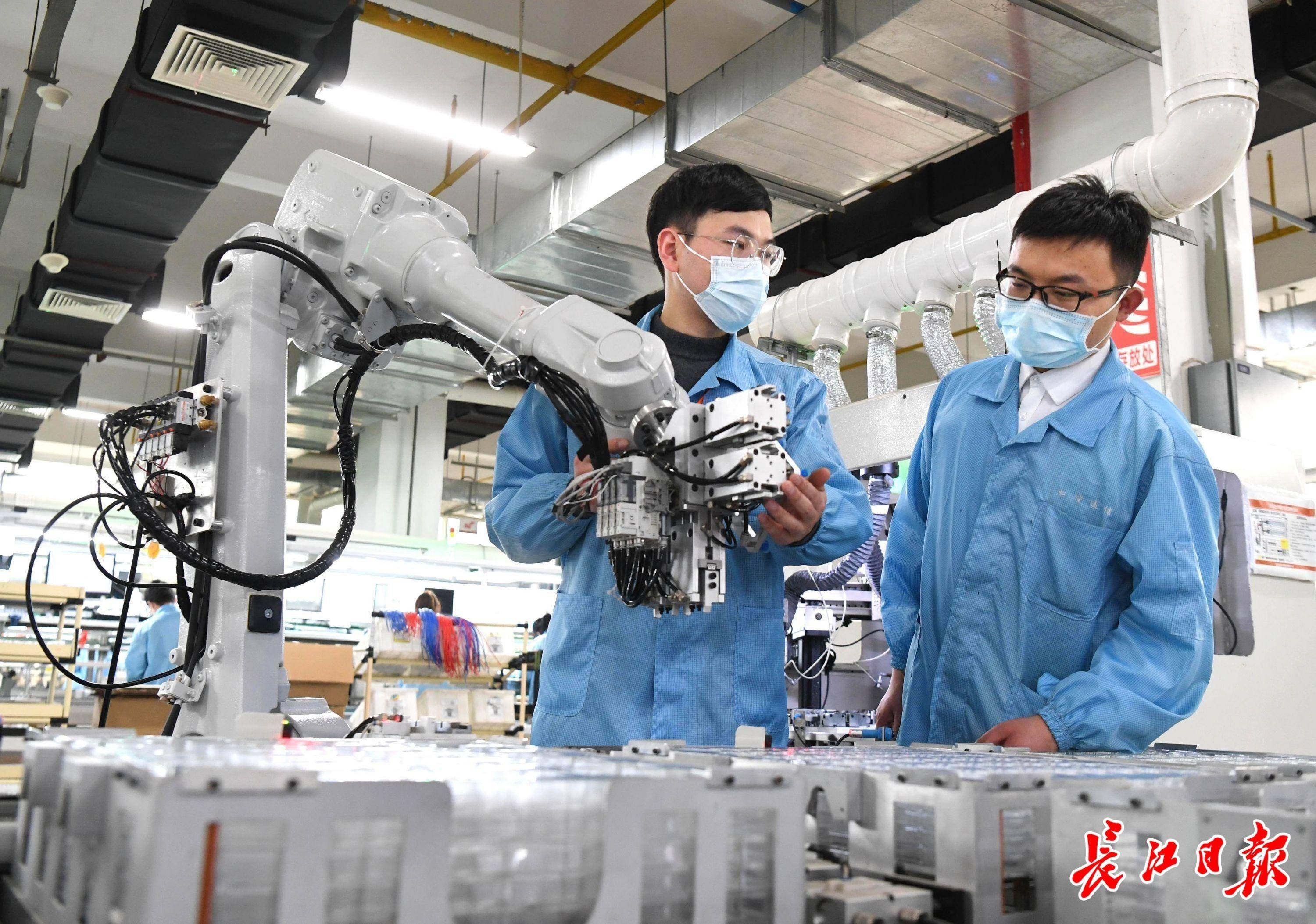 TIL制剂标准化再进一步：首个国家级指南发布，北京大兴打造细胞治疗创新高地