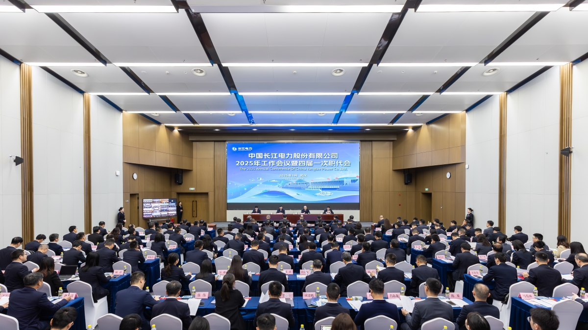 长江电力：公司将严格按照上市公司相关管理规定履行项目出资决策程序，依法合规推进项目建设管理工作，保障公司和中小股东的合法权益