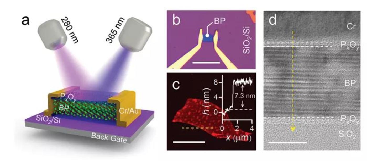 兴发集团：公司黑磷在芯片领域主要与高校、科研院所开展合作