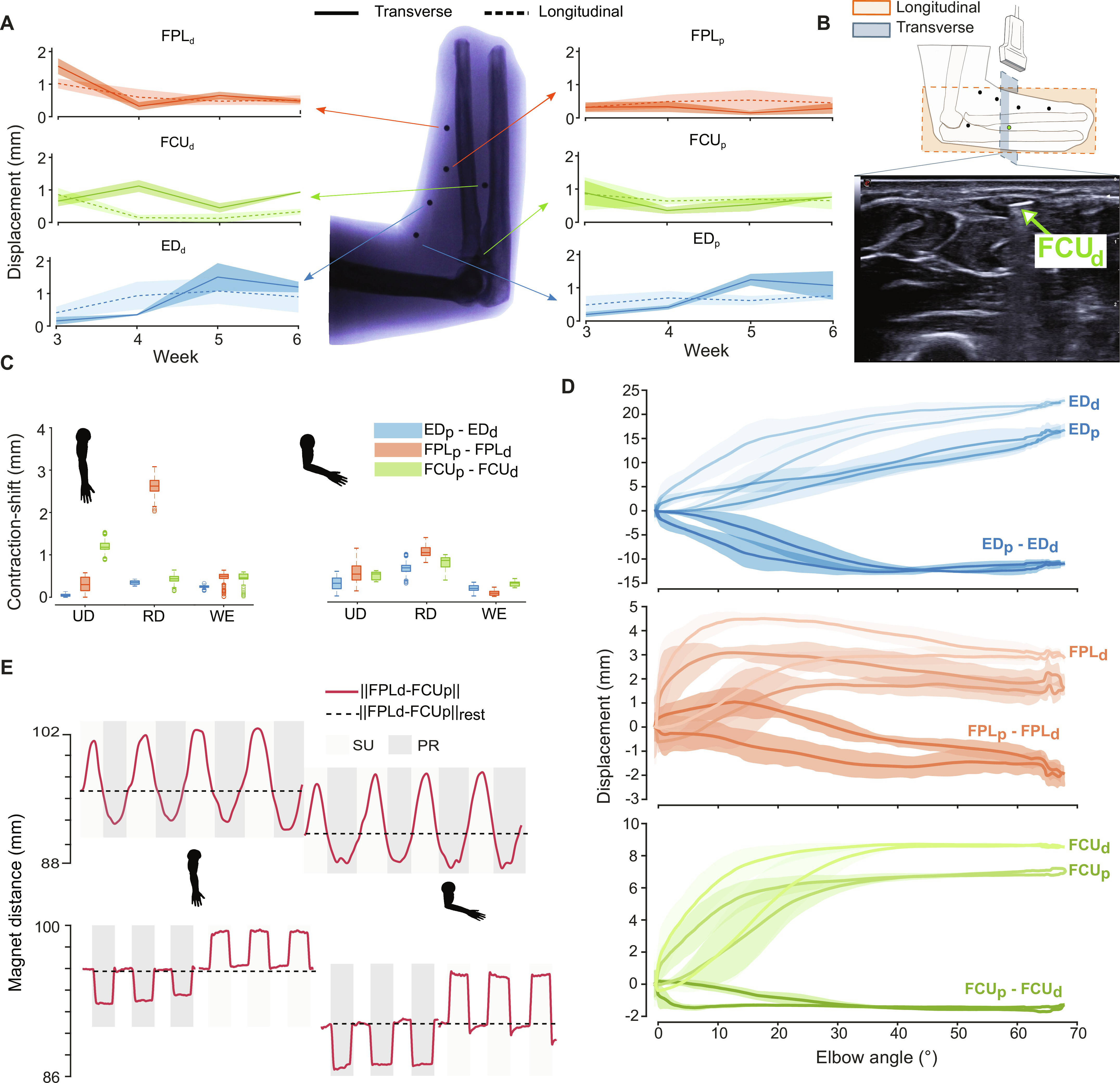 脑机接口技术新突破！概念龙头年内涨幅超2.3倍