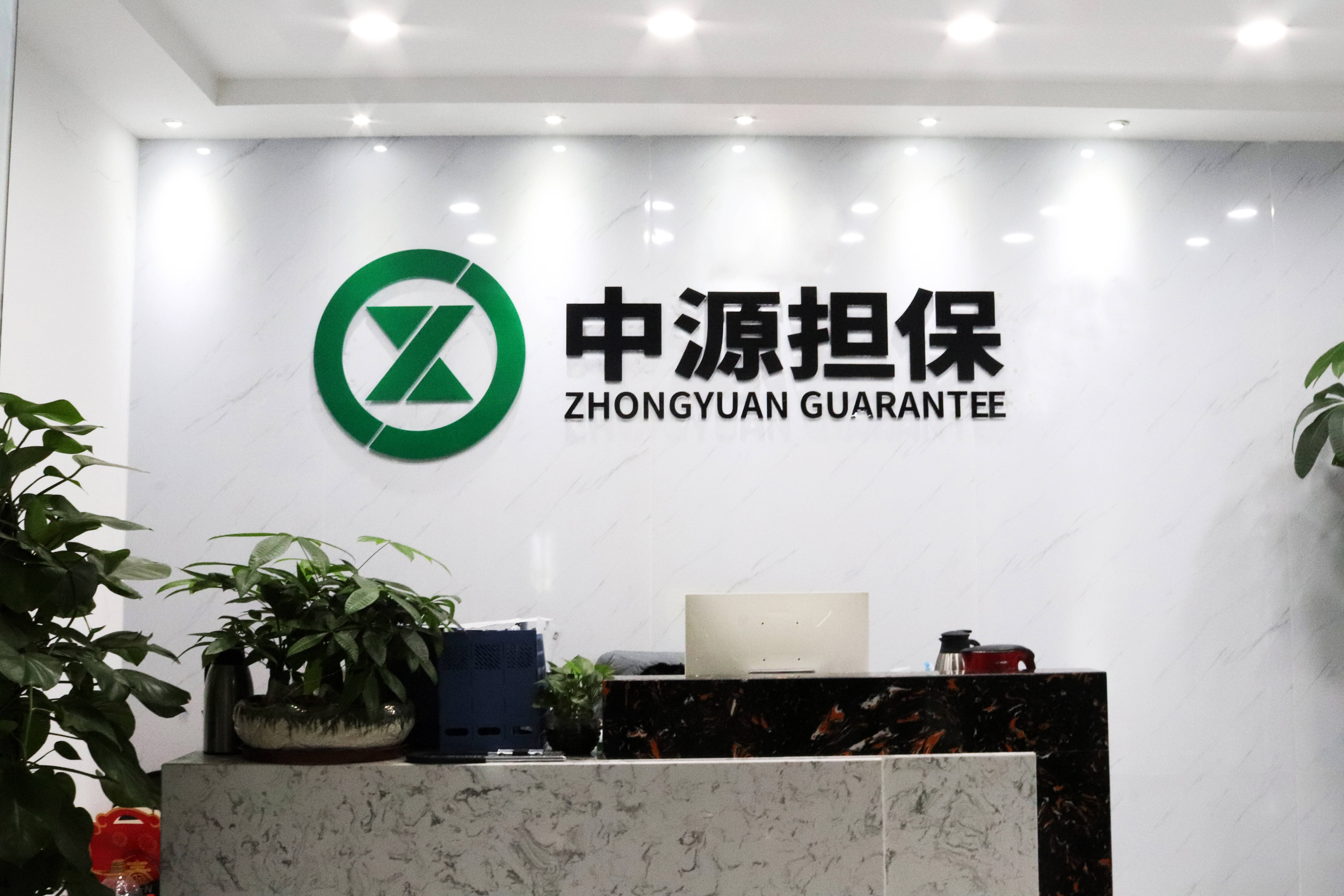 思源电气披露总额2322.8万元的对外担保,被担保方为烯晶碳能电子科技无锡有限公司