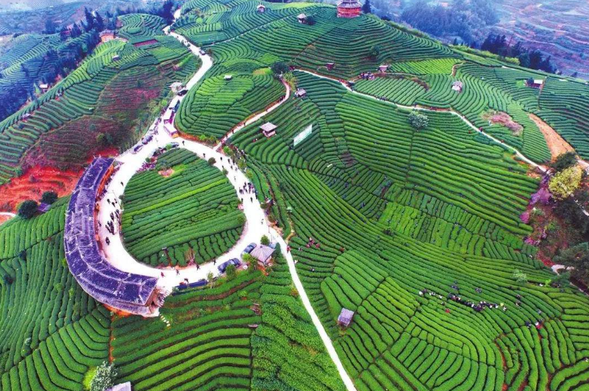 信达地产:目前公司尚未成立商旅及康养养老地产公司