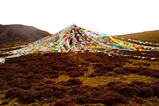 西藏天路：公司建材类子公司在林芝设有粉磨站