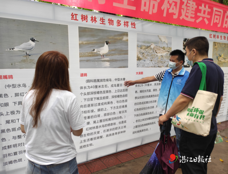 深化“生态共‘盈’”, 盈康生命旗下医院开展生态环境日活动