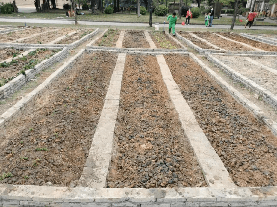 小菜园半年报藏忧：同店销售连跌，双品牌门店扩张步伐缓慢