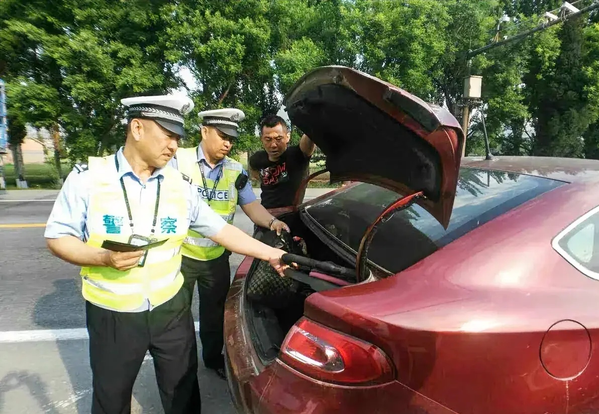 【企业动态】金埔园林新增1件行政处罚,被罚款5万元