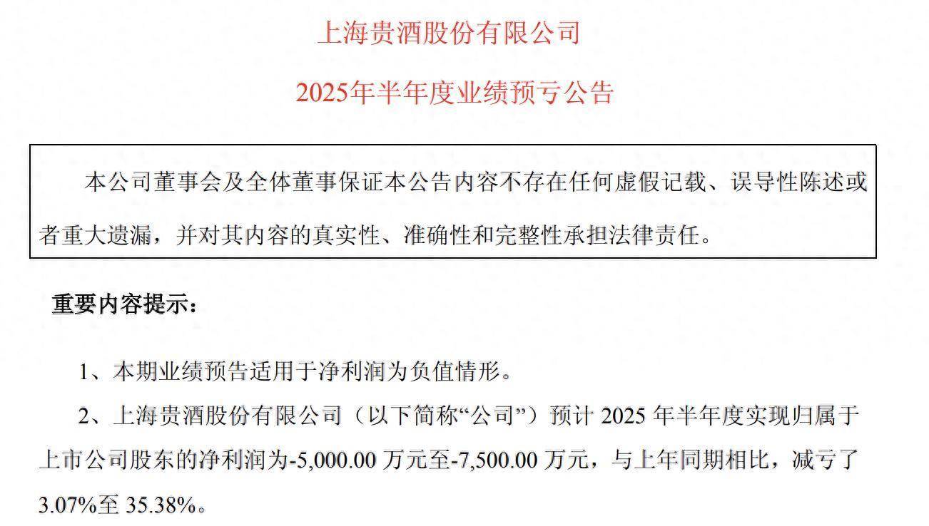业绩减亏显韧性,正元地信紧抓数字中国与低空经济新机遇