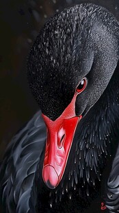 黑天鹅突袭！这只AI芯片股，暴跌近19%！