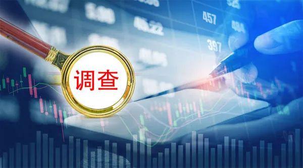 *ST金比:公司目前未投保过董责险