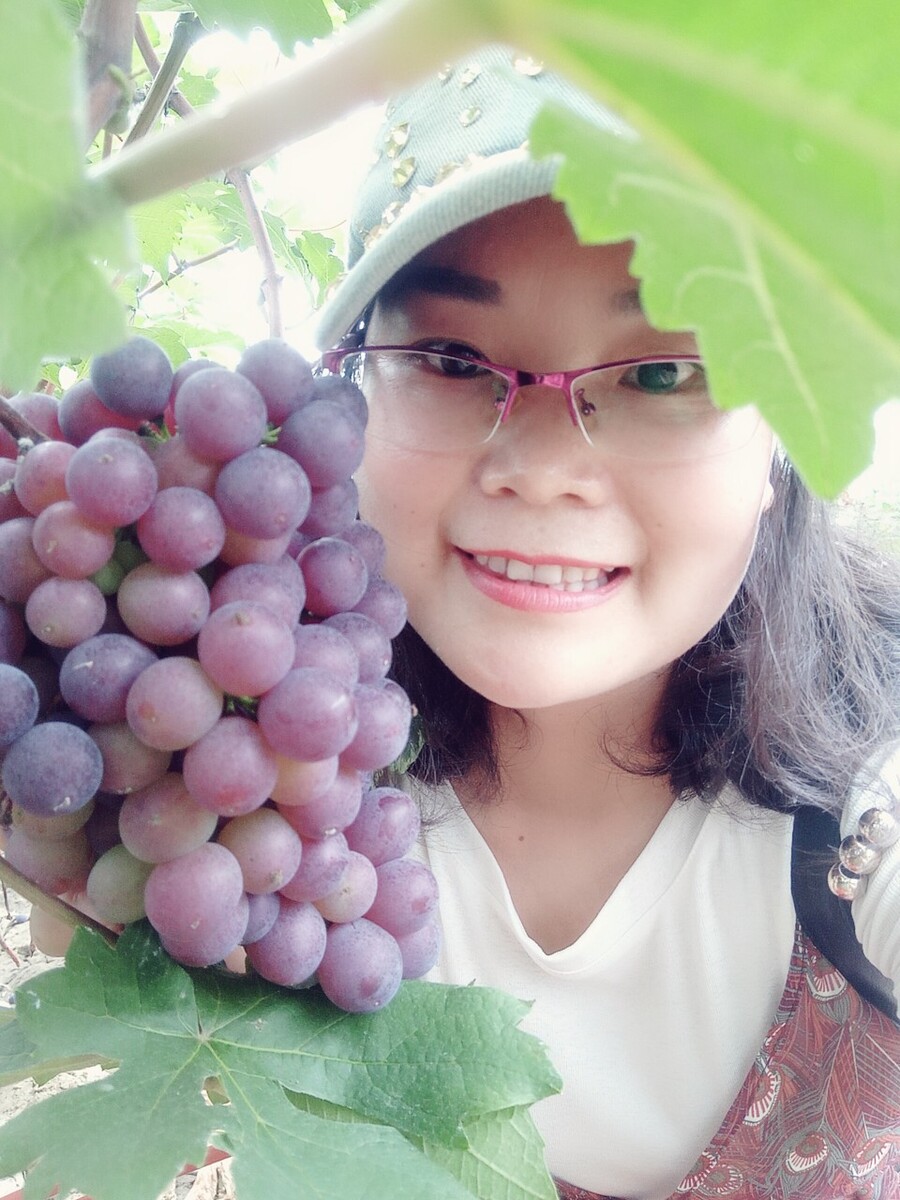 “三朵金花”中报业绩亮眼 港股新消费进入下半场