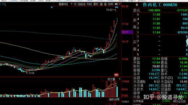 飞马国际等成立能源公司,含生物基材料业务