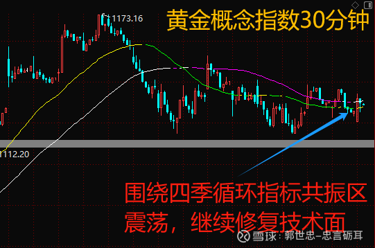 异动快报:西部黄金(601069)9月3日9点46分触及涨停板