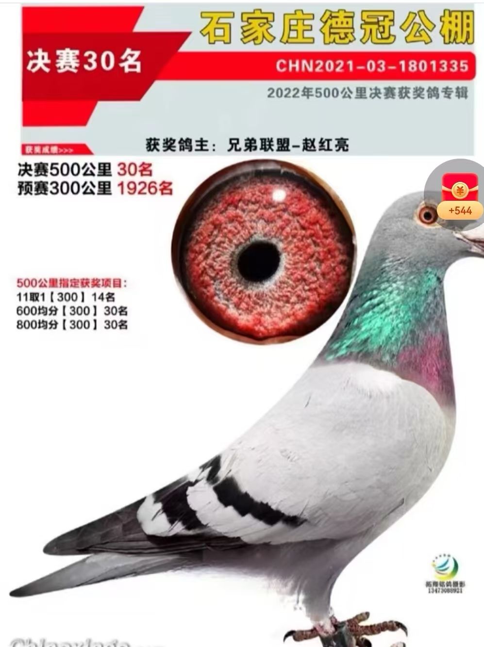 异动快报:金龙羽(002882)9月4日10点56分触及涨停板