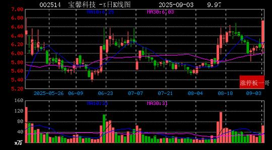 异动快报：宝馨科技（002514）9月3日13点6分触及涨停板