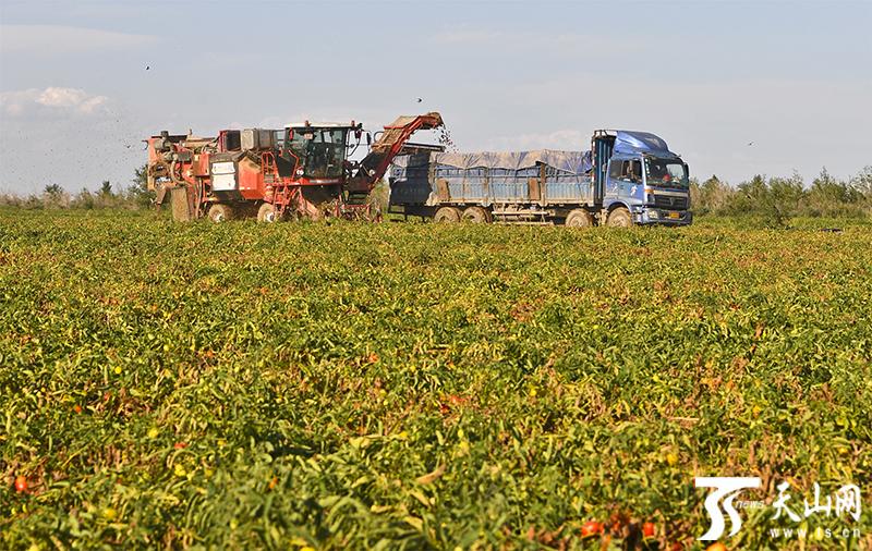 天山电子:9月15日高管劳萍减持股份合计1.4万股
