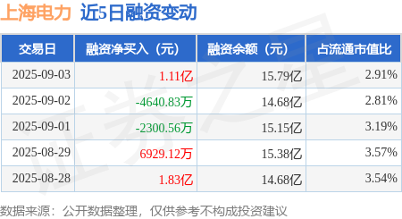 异动快报：上海电力（600021）9月15日13点5分触及涨停板