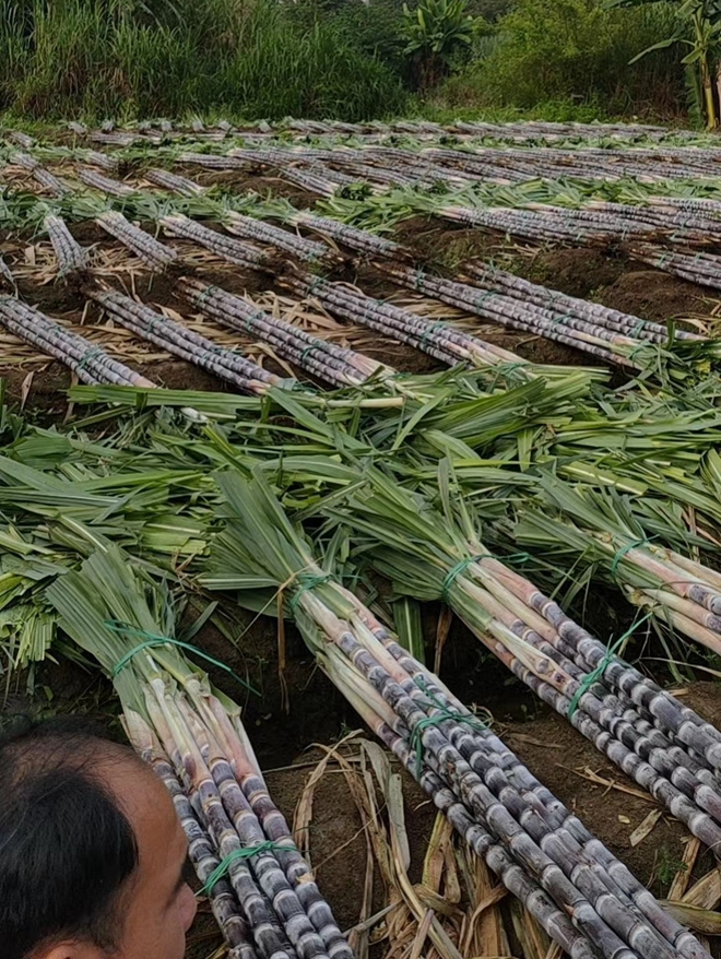 原材料涨价冲击利润,海外扩张资金承压,玲珑轮胎借道港交所解困局