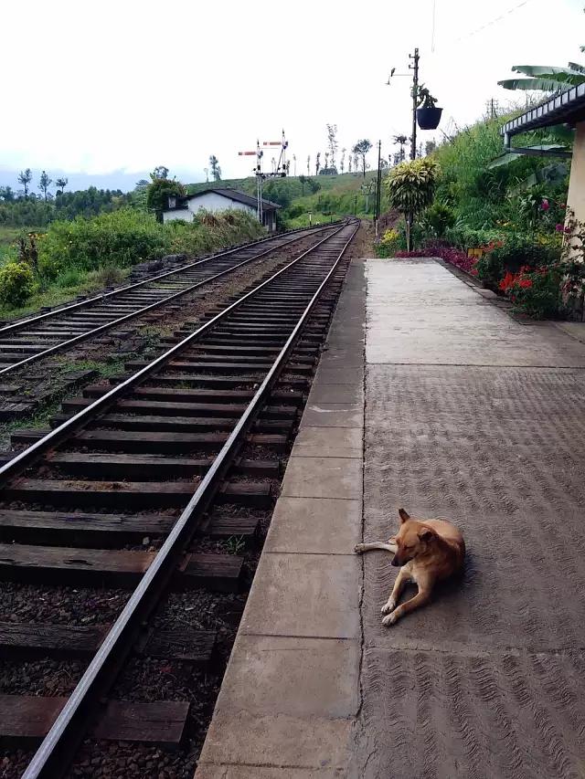 “24西部04”将于9月26日付息