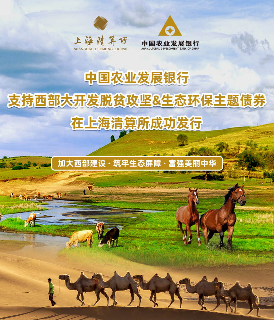 上海清算所在香港成功举办“玉兰债”座谈会