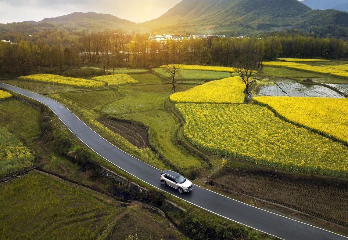 大洋电机：全球HVAC电驱动解决方案排名第二