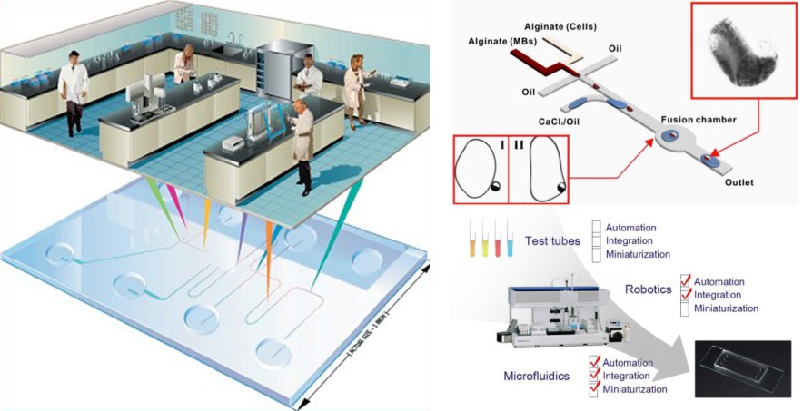 万泰生物获得发明专利授权：“荧光检测装置及微流控芯片检测系统”