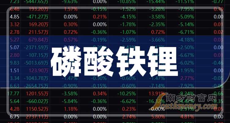 财报速递：盛新锂能2025年半年度净亏损8.41亿元