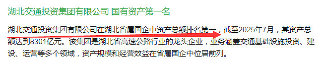 湖北宜化：深化三资改革聚焦主业发展