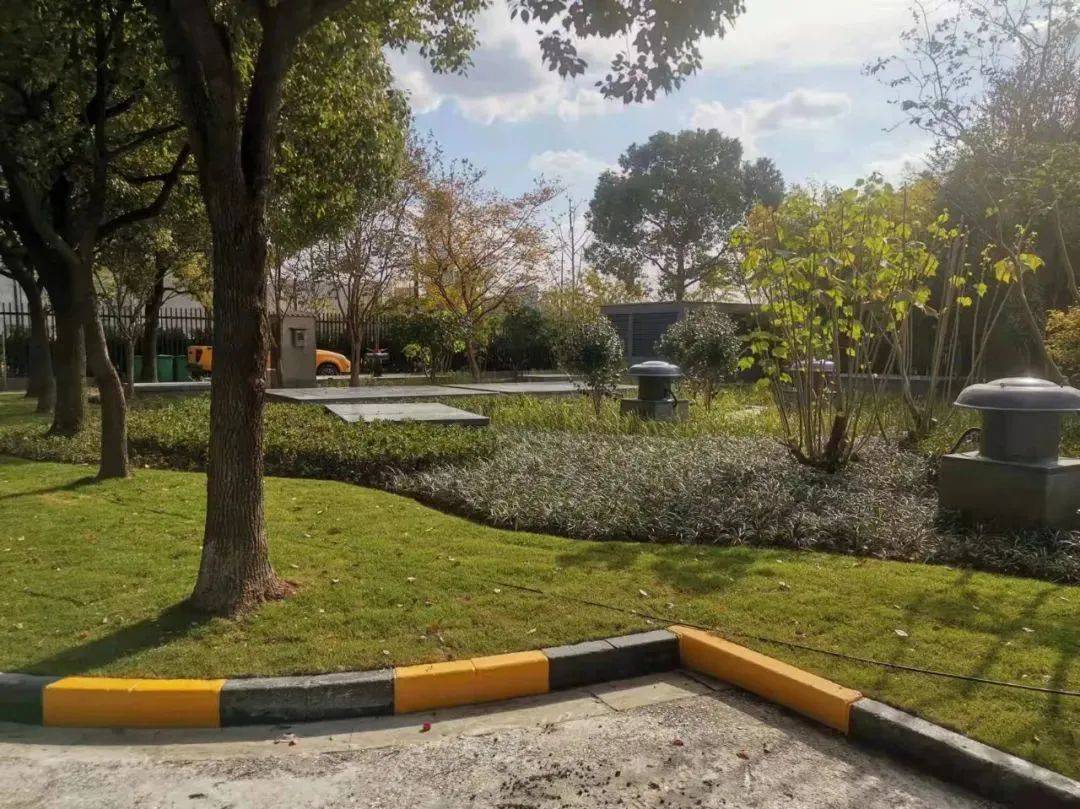 山金国际:双子山金矿项目已开始建设