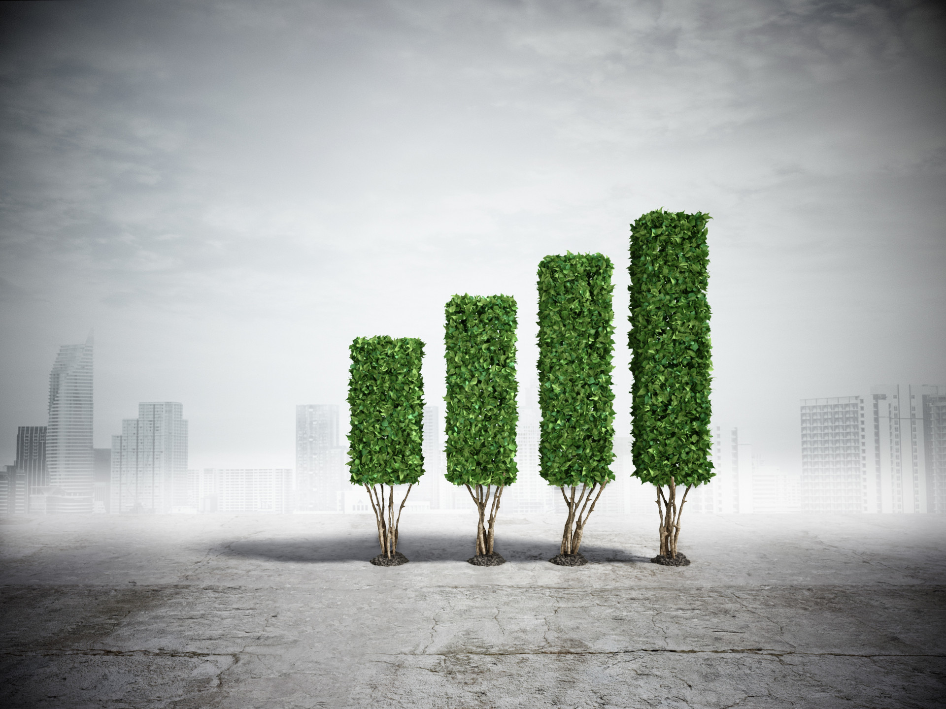 万年青：绿色低碳转型措施助力应对碳交易