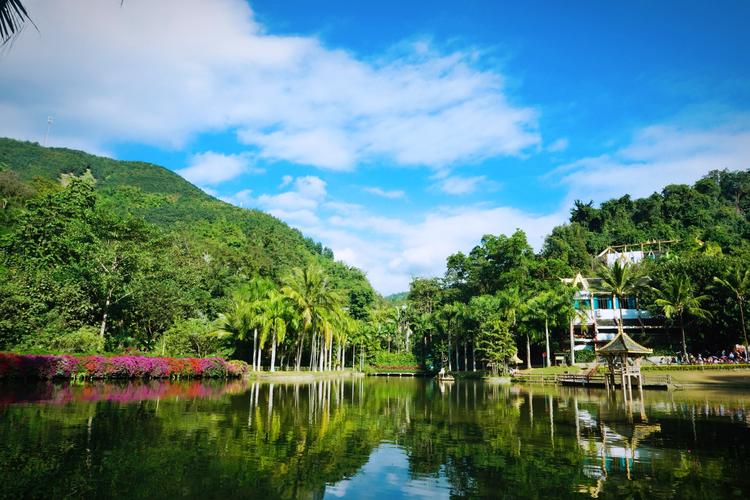 西域旅游:截至11月10日持有人数为28875人