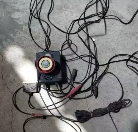 异动快报：*ST绿康（002868）11月12日13点31分触及涨停板