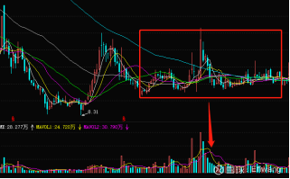 异动快报：丰元股份（002805）11月13日10点43分触及涨停板