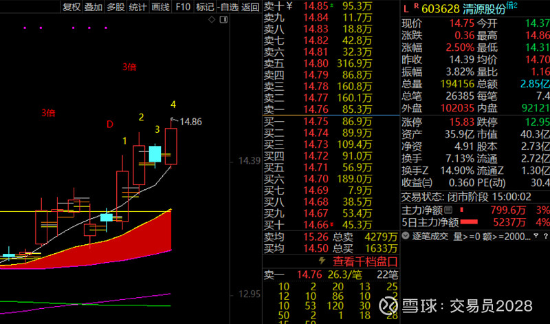 异动快报：清源股份（603628）11月14日9点53分触及涨停板