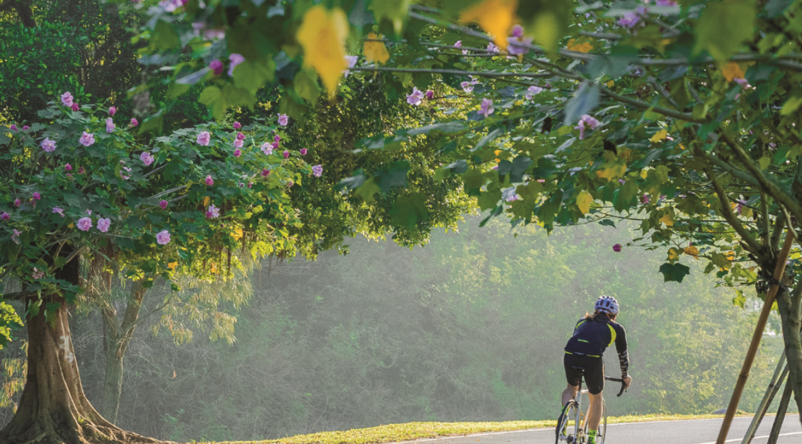 卫星化学：坚持绿色低碳发展专注新材料产业链