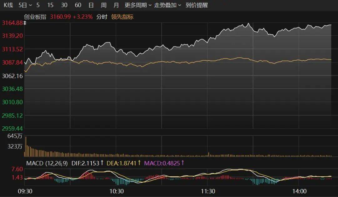 异动快报：中国武夷（000797）11月25日13点45分触及涨停板