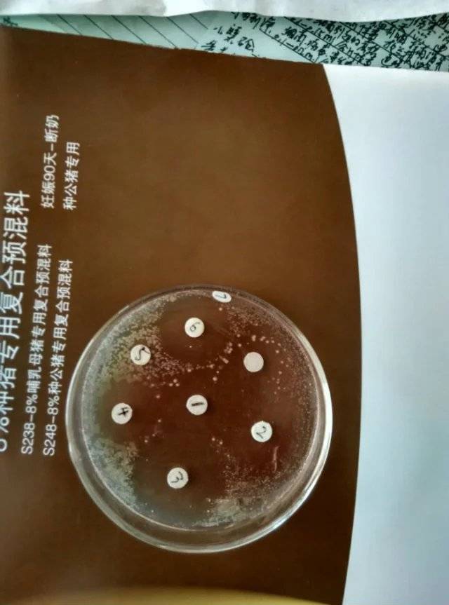 航天智造：新增大药量药柱和火工品产能