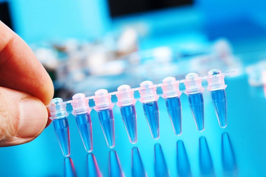 华大基因前高管带吉因加闯港股，从核酸检测回归肿瘤诊断后持续亏损