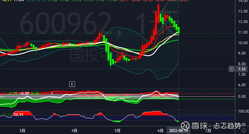 异动快报:国投中鲁(600962)1月9日9点51分触及涨停板