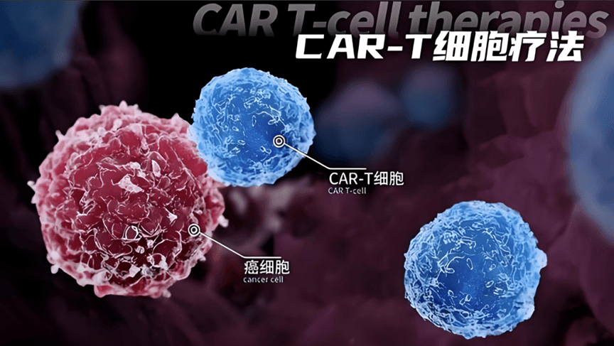 药明生物与再鼎医药就创新T细胞衔接子达成研究服务协议