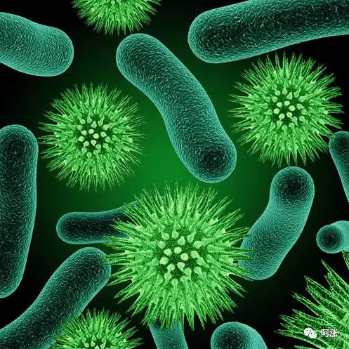 药明生物：主要股东Biologics Holdings已同意以每股38.52港元的价格配售1.5亿股股份