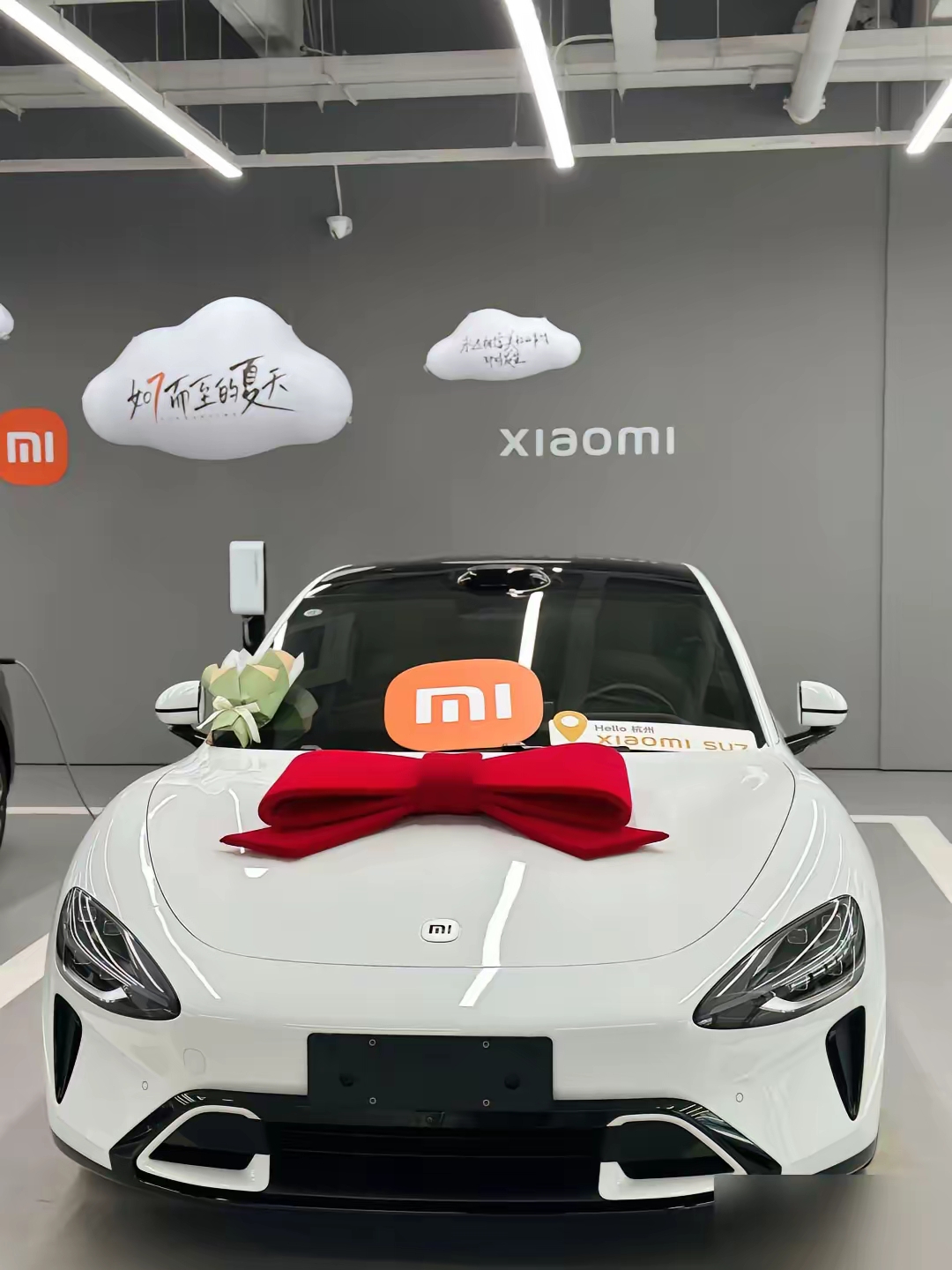 Suplay冲刺港股:陷IP依赖困局,核心授权到期隐忧暗涌