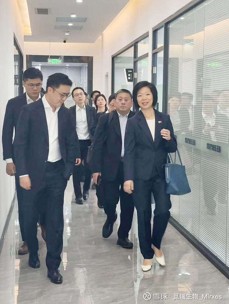 Mirxes觅瑞上市8个月再获超7亿港元融资，配售价较上市价溢价近40%