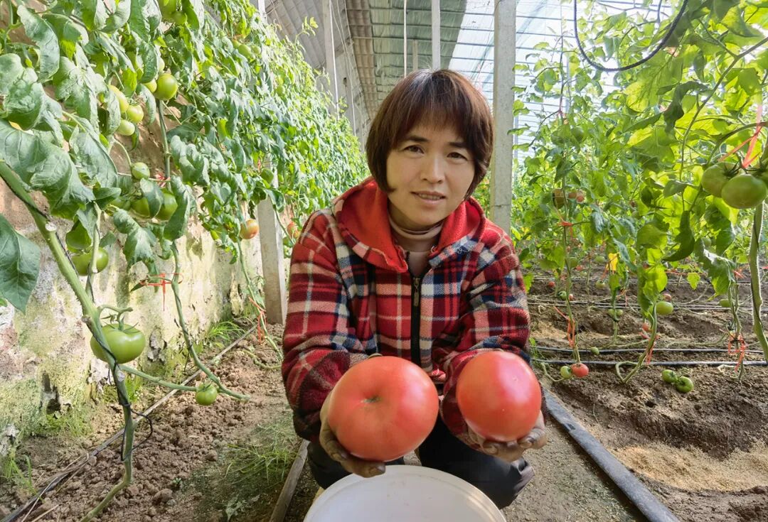 龙泉股份：截至2026年1月30日，公司股东人数为23,735户