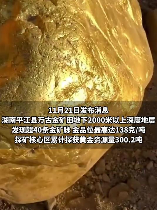 湖南黄金今日涨停，3家机构专用席位净买入1.75亿元