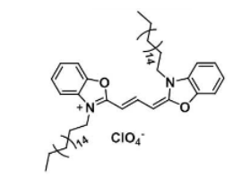 晶合集成获得实用新型专利授权：“一种探针卡”