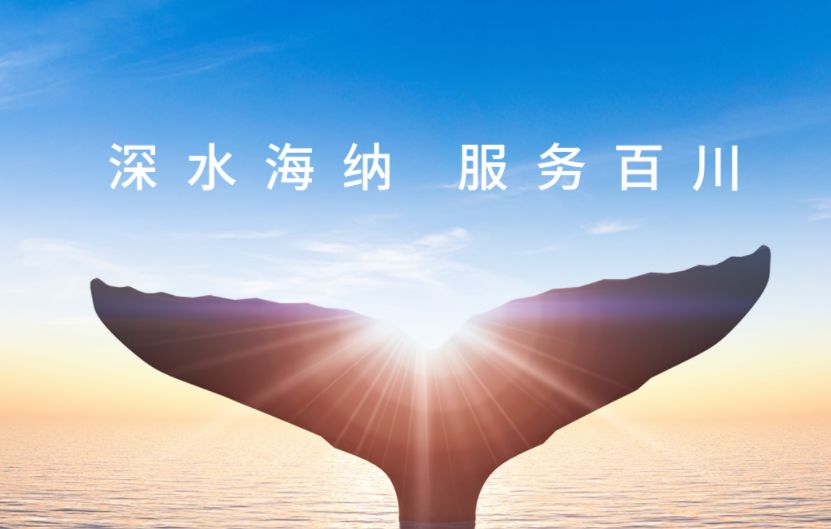 深水海纳:2月12日高管李琴减持股份合计2万股