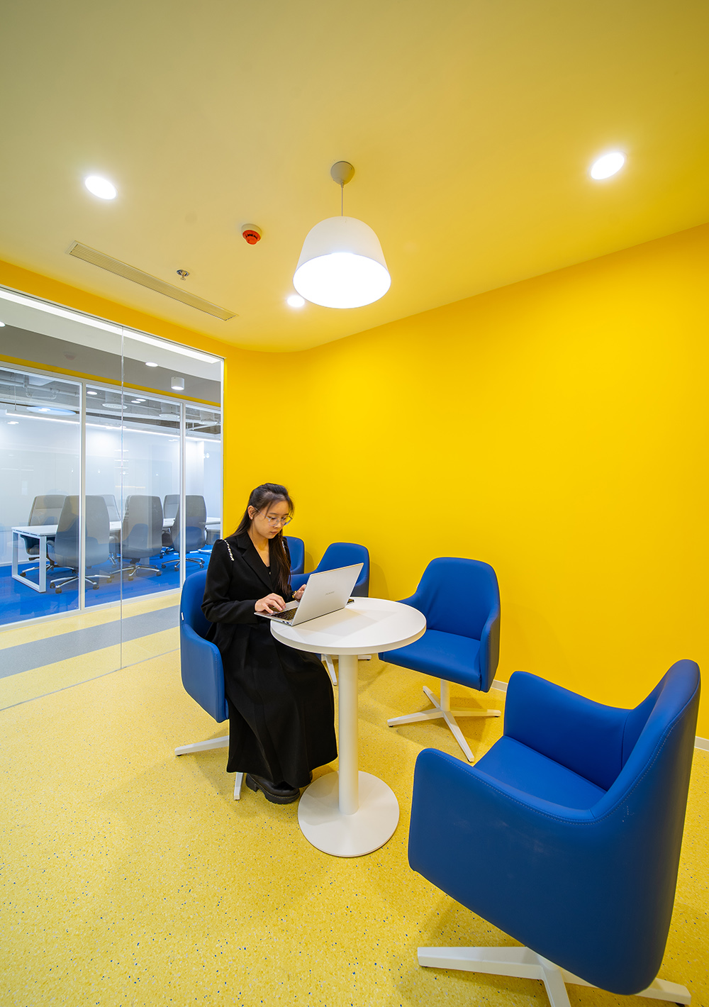 盈利减少1.19亿，创始人柴�L出局：“奶酪第一股”妙可蓝多怎么了？