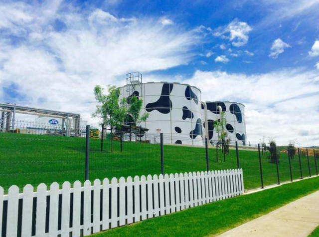 盈利减少1.19亿，创始人柴�L出局：“奶酪第一股”妙可蓝多怎么了？