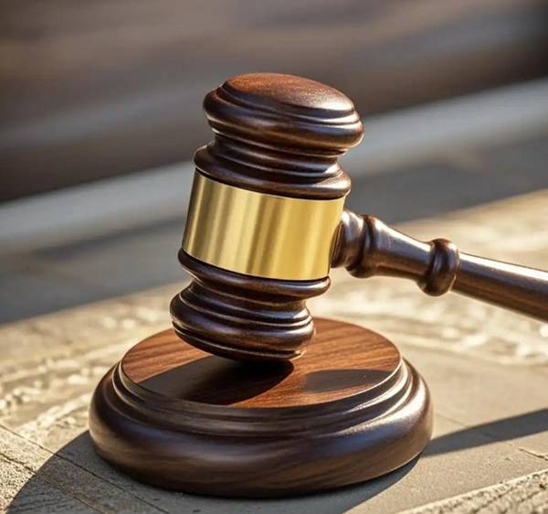 金新农：截至2026年02月20日，公司股东户数为41288户